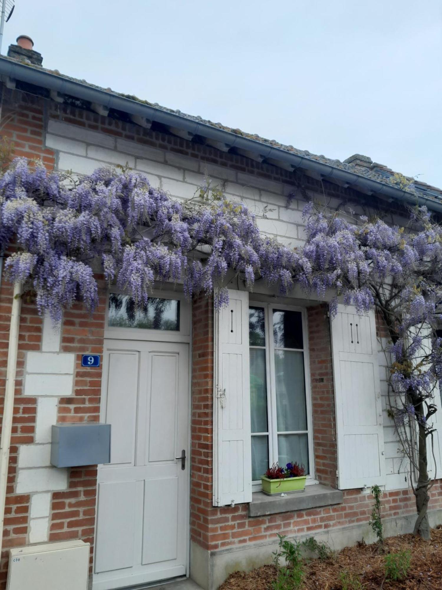 Gite, Maison A La Campagne Ardennes, Aisne,Marne Le Thour Rum bild